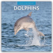 Dolphins - Delfine 2026 - 16-Monatskalender - Robin Red