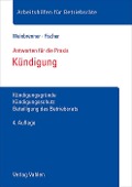 Cover-Bild zum Titel 'Kündigung' von 'Lars Weinbrenner, Johan Fischer'
