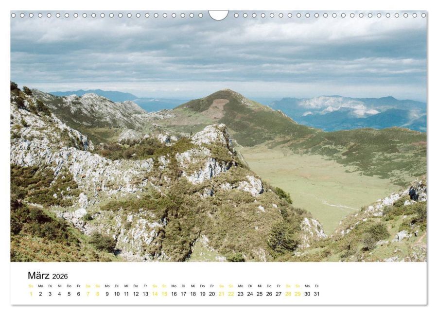 InsideView 8