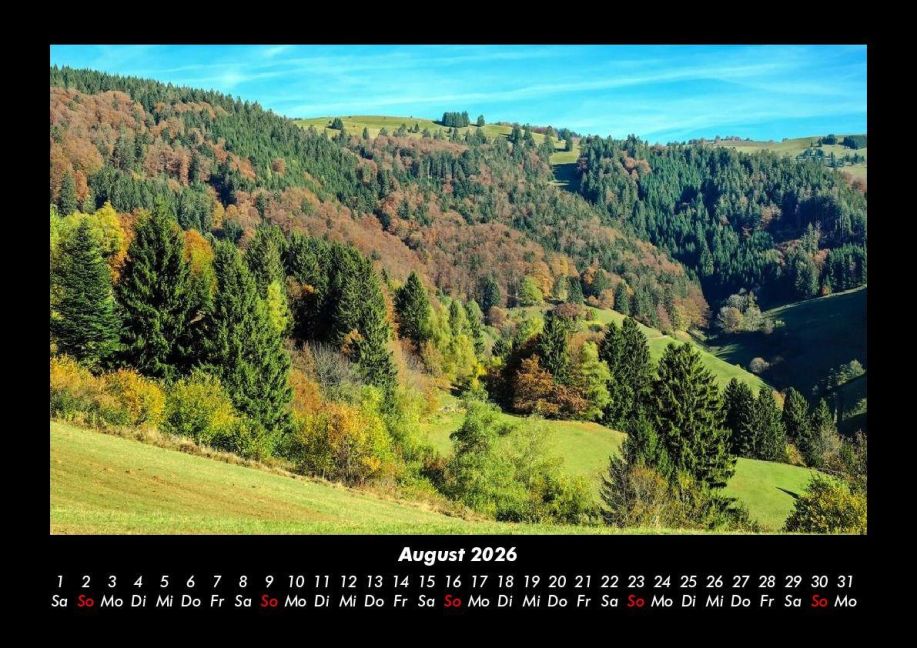 InsideView 12