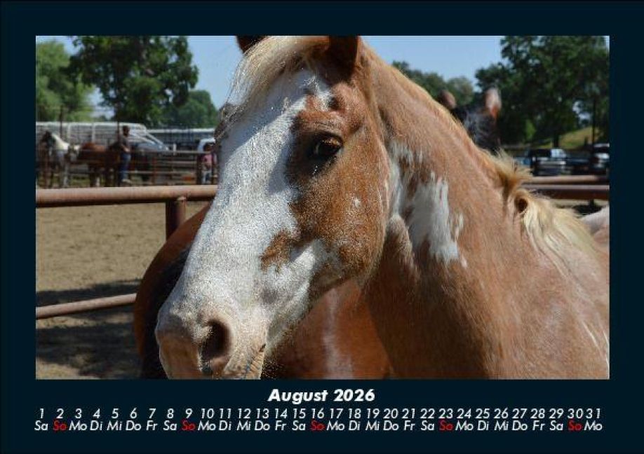 InsideView 12