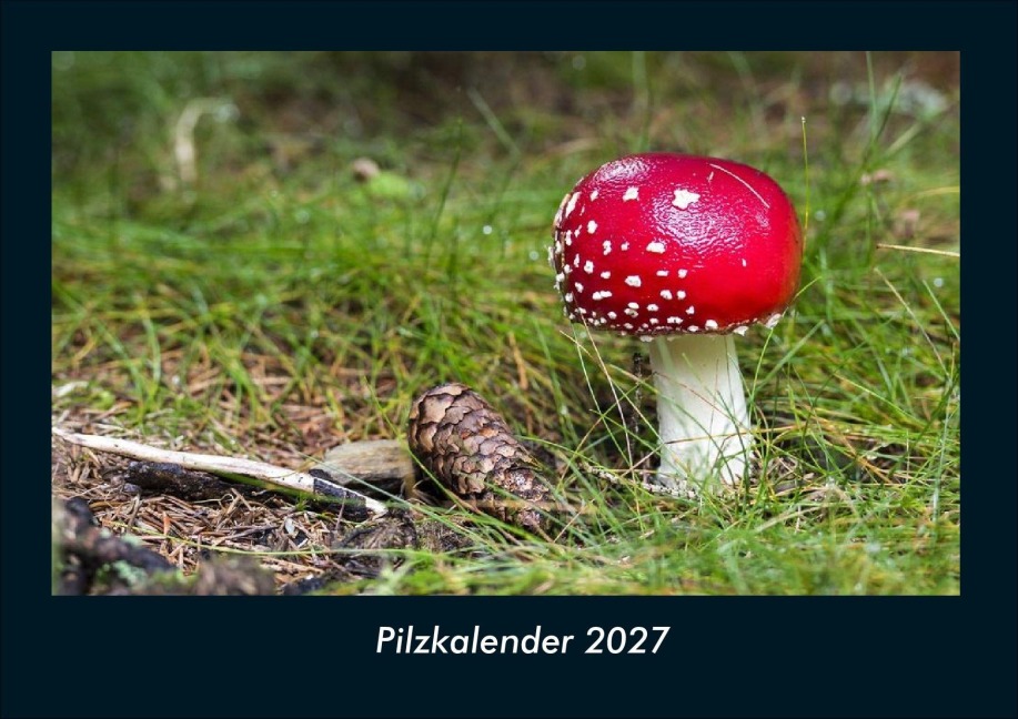 Pilzkalender 2027 Fotokalender DIN A4 - Tobias Schmitt, Kevin Heber