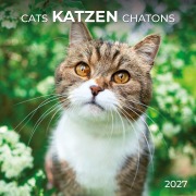 Cover-Bild zum Titel 'Katzen / Cats 2027' von ''