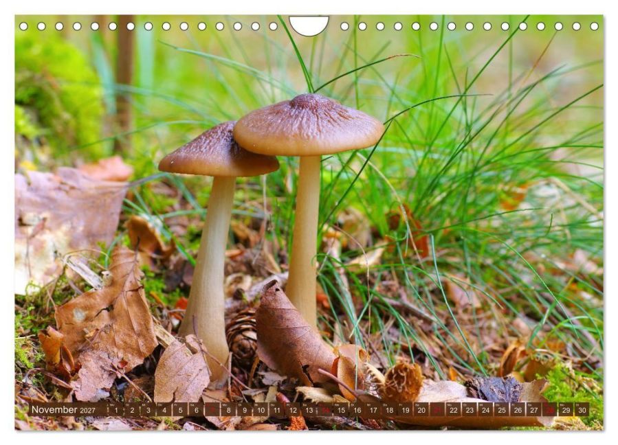 InsideView 3