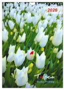 Tulpen. Bunter Frühling (Wandkalender 2026 DIN A4 hoch), CALVENDO Monatskalender - Eugeniya Kareva