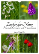Cover-Bild zum Titel 'Zauber der Natur - Heimische Orchideen und Wiesenblumen (Wandkalender 2026 DIN A3 hoch), CALVENDO Monatskalender' von 'Ursula Di Chito'