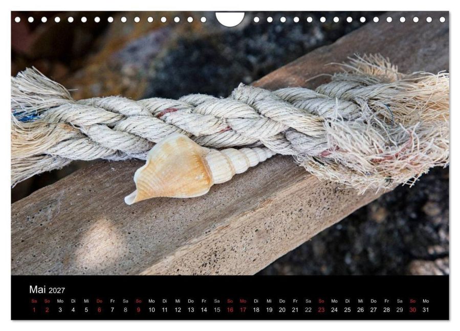 InsideView 10