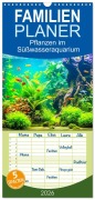 Familienplaner 2026 - Pflanzen im Süßwasseraquarium. Gartenkunst im Fischbecken mit 5 Spalten (Wandkalender, 21 x 45 cm) CALVENDO - Rose Hurley