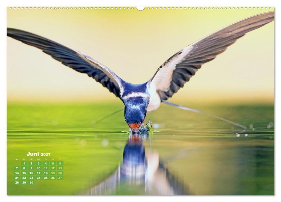 InsideView 10