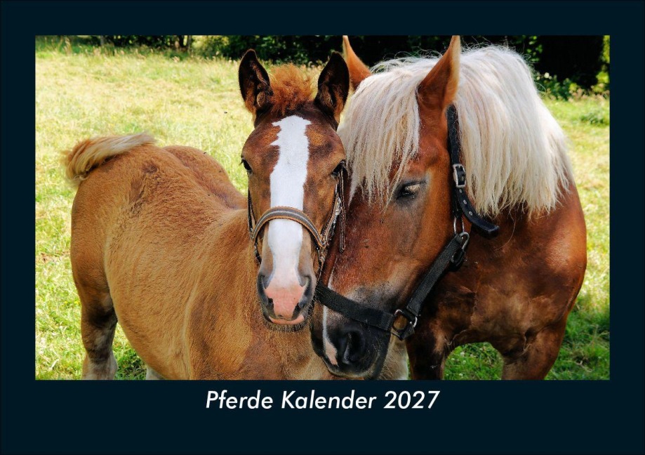 Pferde Kalender 2027 Fotokalender DIN A5 - Kevin Heber, Tobias Schmitt