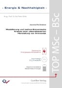 Cover-Bild zum Titel 'Modellierung und techno-ökonomische Analyse einer plasmabasierten Herstellung von Ammoniak' von 'Jeannine Rechtsteiner'