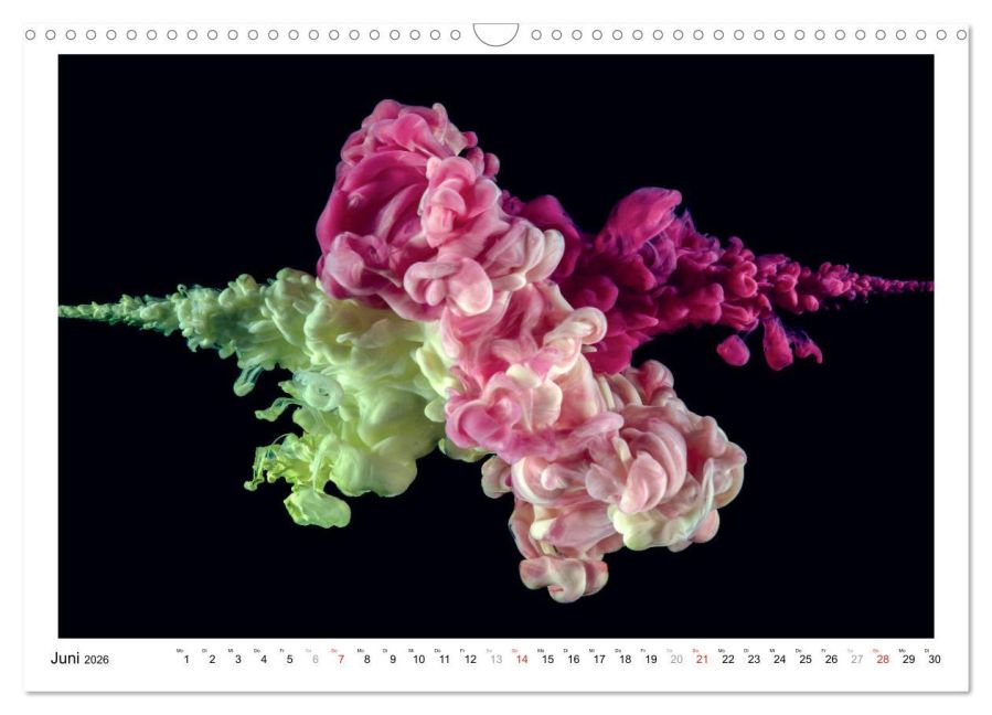 InsideView 11
