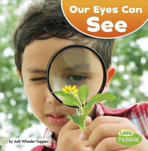 Our Eyes Can See - Jodi Lyn Wheeler-Toppen