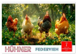 Hühner Federvieh (Wandkalender 2025 DIN A2 quer), CALVENDO Monatskalender - Peter Roder