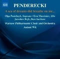 Cover-Bild zum Titel 'A Sea of Dreams did Breath on me' von 'Antoni/Warschau PO Wit'