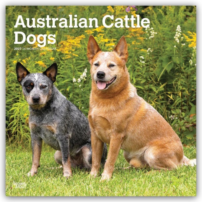 Australian Cattle Dogs 2027 - 16-Monatskalender - Browntrout Publishers