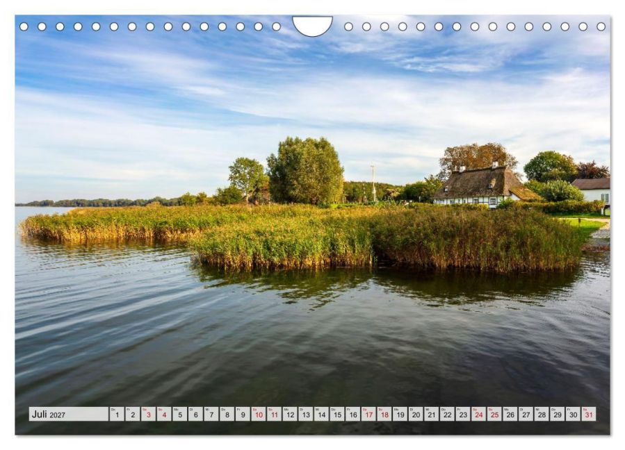 InsideView 12