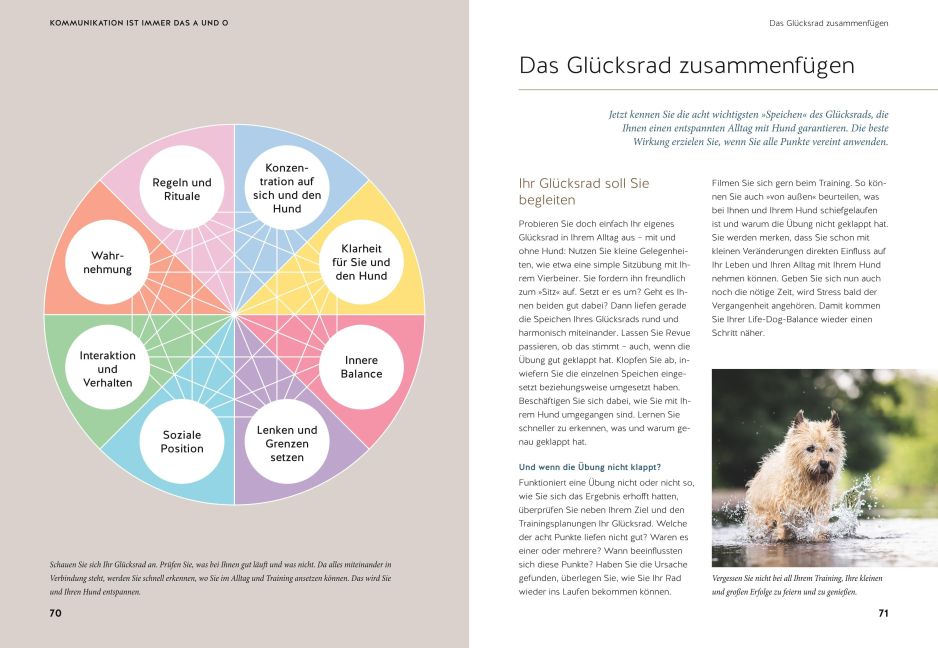 InsideView 5