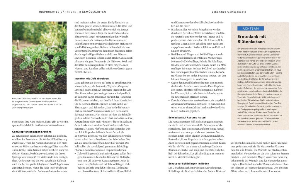 InsideView 5