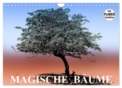 Magische Bäume (Wandkalender 2026 DIN A4 quer), CALVENDO Monatskalender - Elisabeth Stanzer