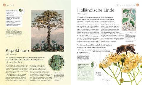 InsideView 7