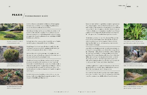 InsideView 10