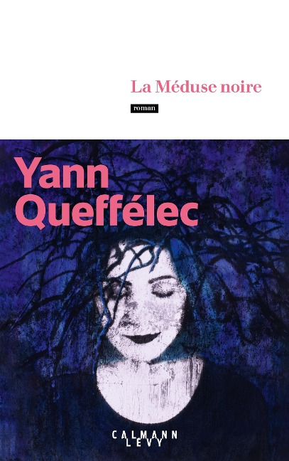La Méduse noire - Yann Queffélec