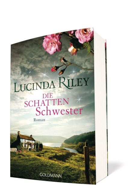 InsideView 1