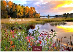 Indian Summer 2026 L 35x50cm - 