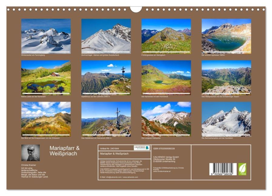 InsideView 5