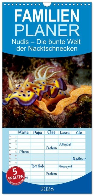 Familienplaner 2026 - Nudis - Die bunte Welt der Nacktschnecken mit 5 Spalten (Wandkalender, 21 x 45 cm) CALVENDO - Sascha Caballero