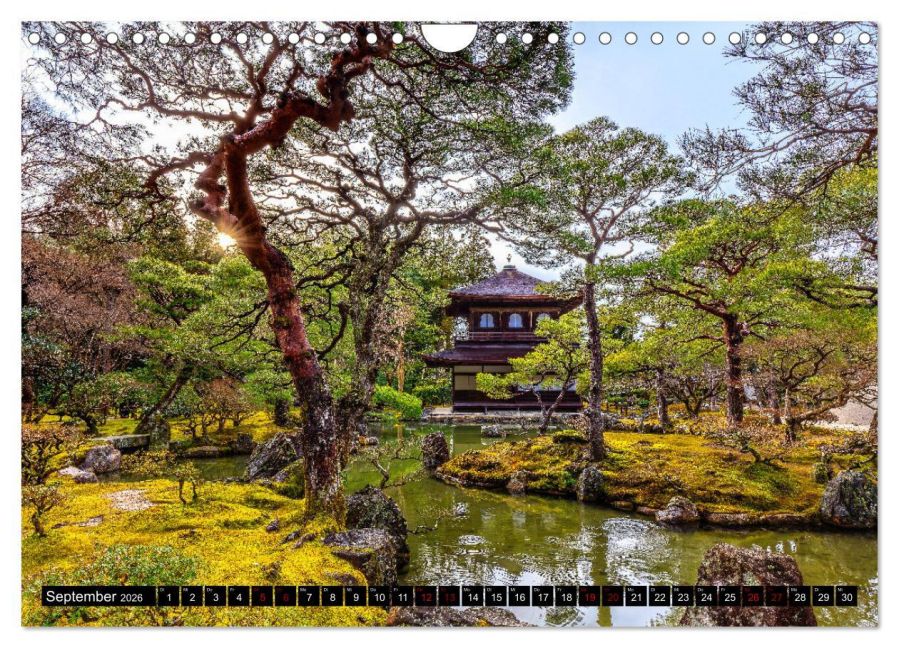 InsideView 14