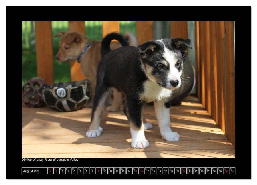 InsideView 12