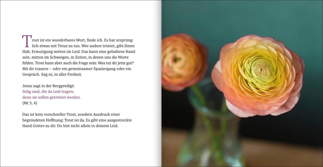 InsideView 10