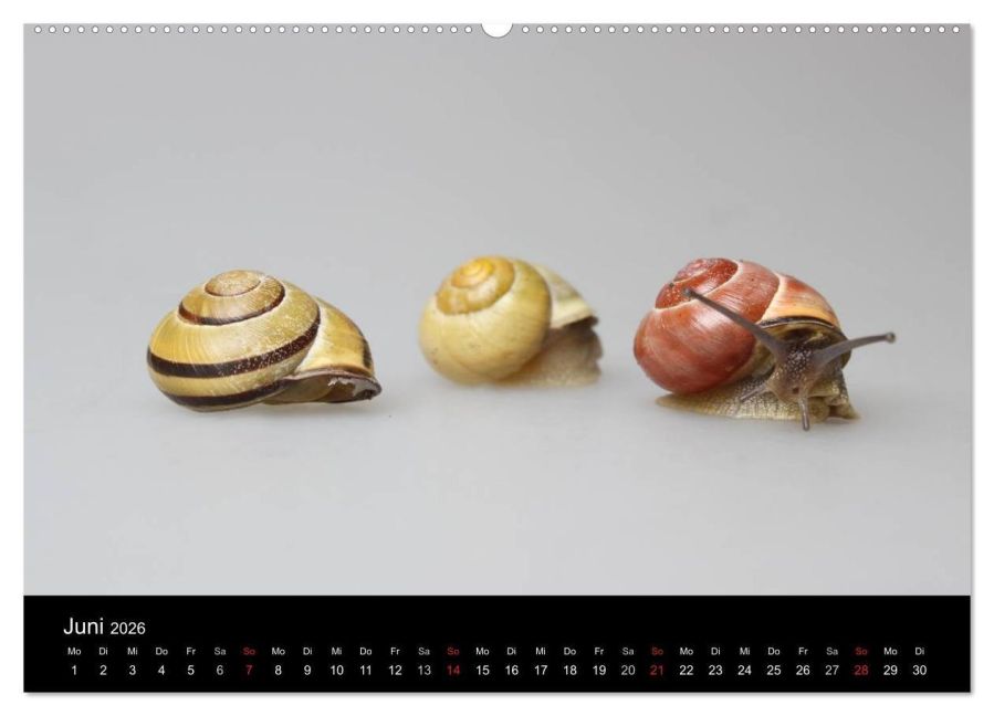 InsideView 10