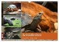 Schildkröten - Gepanzerte Urzeitwesen (Wandkalender 2025 DIN A3 quer), CALVENDO Monatskalender - Barbara Mielewczyk