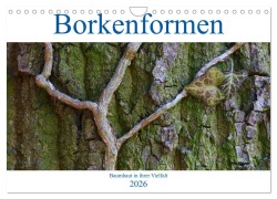 Borkenformen (Wandkalender 2026 DIN A4 quer), CALVENDO Monatskalender - Clemens Stenner