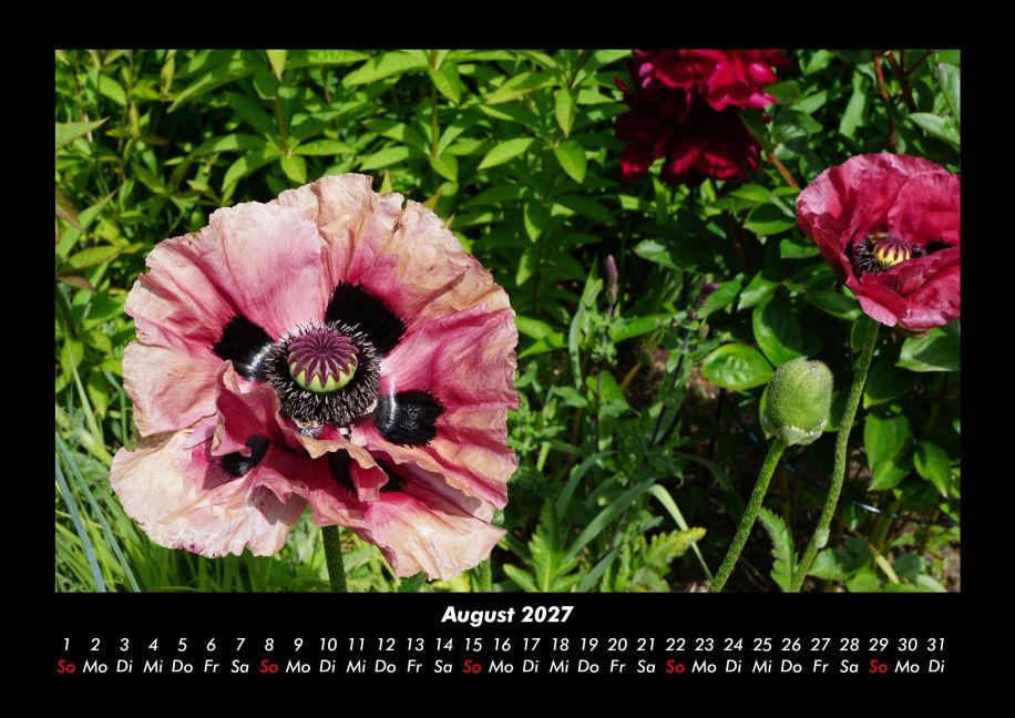 InsideView 12