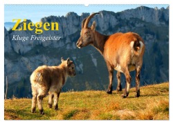 Cover-Bild zum Titel 'Ziegen. Kluge Freigeister (Wandkalender 2026 DIN A2 quer), CALVENDO Monatskalender' von 'Elisabeth Stanzer'