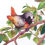 Cover-Bild zum Titel 'Luis und sein erstes großes Abenteuer' von 'Claudia Sachse, Willi Hartmann'