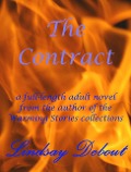 Cover-Bild zum Titel 'The Contract (Warming Stories Full Length Novels, #1)' von 'Lindsay Debout'