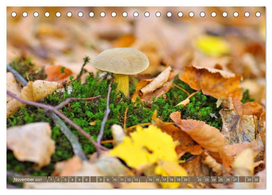 InsideView 3