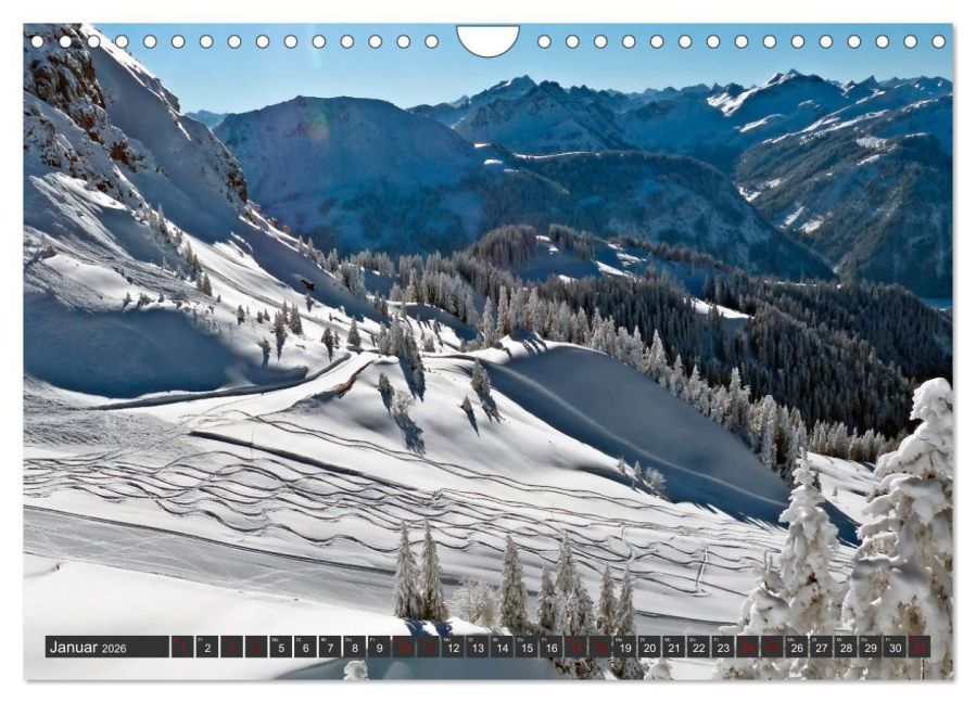 InsideView 6