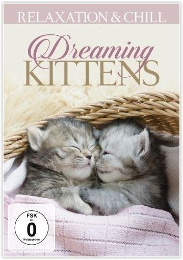 Dreaming Kittens - Relaxation & Chill