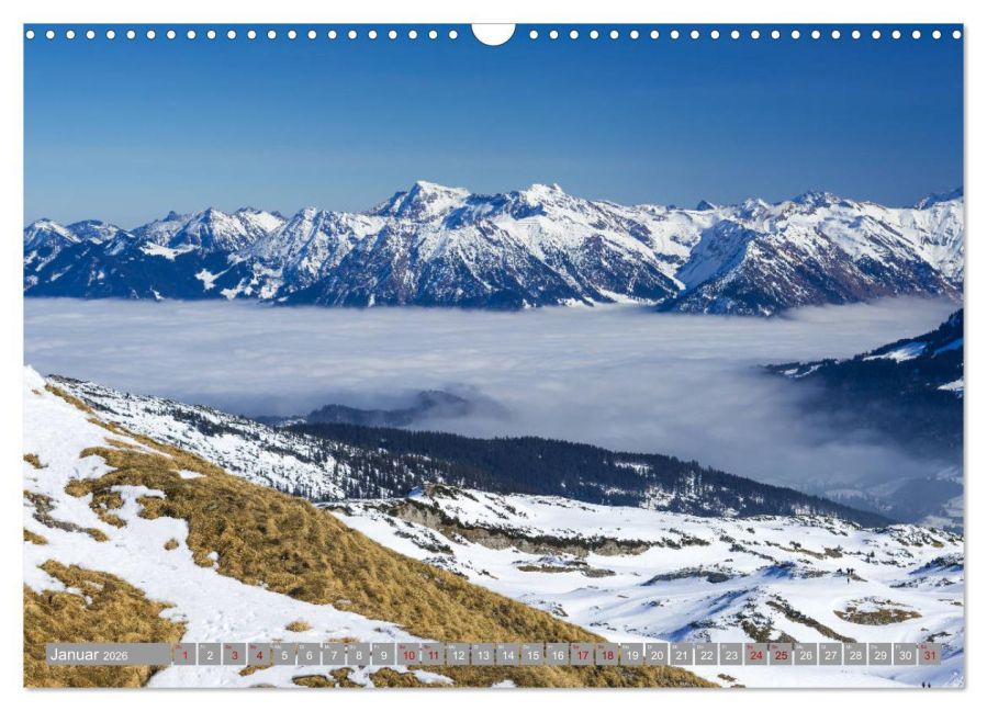 InsideView 6