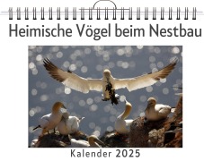 Cover-Bild zum Titel 'Heimische Vögel beim Nestbau' von 'Emma Werner'