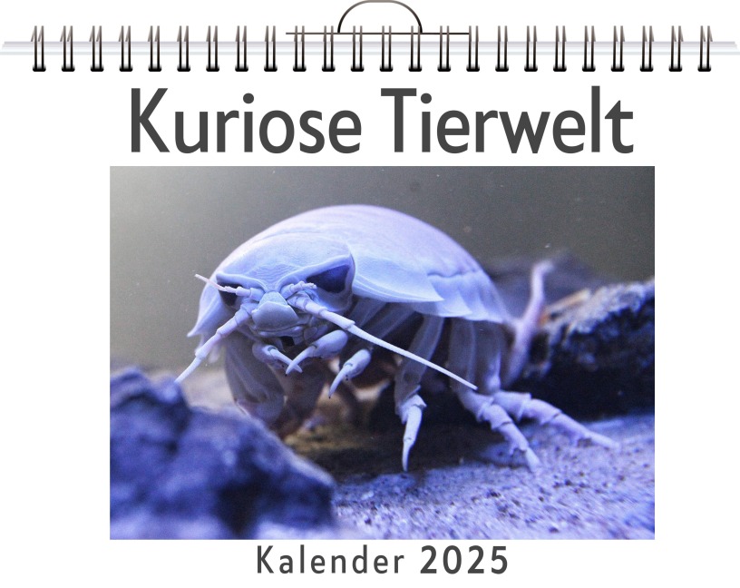 Kuriose Tierwelt - (Wandkalender 2025, Kalender DIN A4 quer, Monatskalender im Querformat mit Kalendarium, das perfekte Geschenk) - Finn Bauer