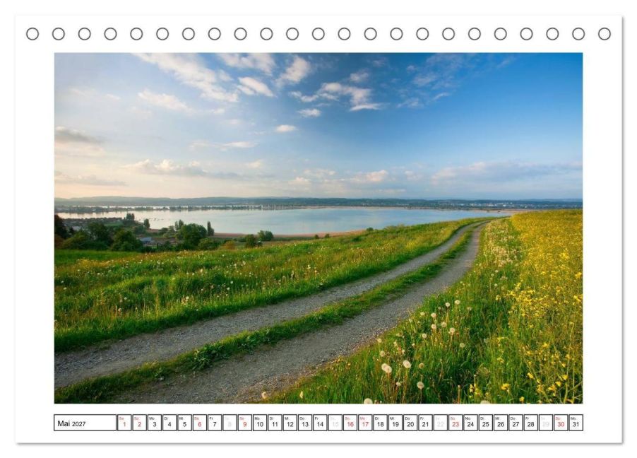 InsideView 10