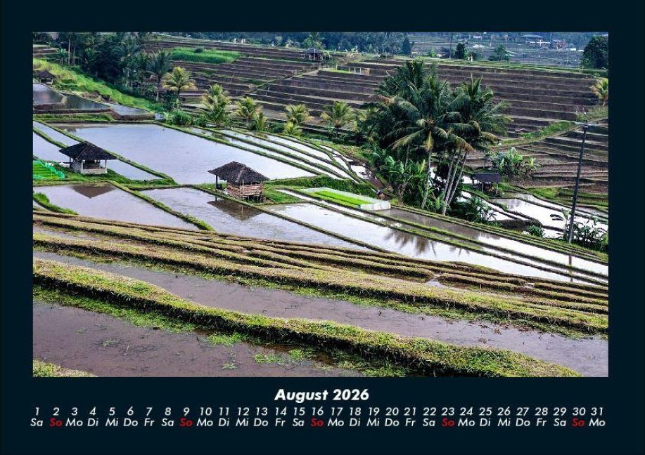 InsideView 12