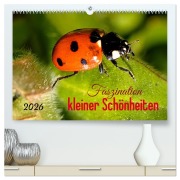 Cover-Bild zum Titel 'Faszination kleiner Schönheiten (hochwertiger Premium Wandkalender 2026 DIN A2 quer), Kunstdruck in Hochglanz' von 'Andrea Dreegmeyer'